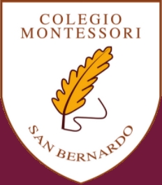 Logo Colegio Montessori